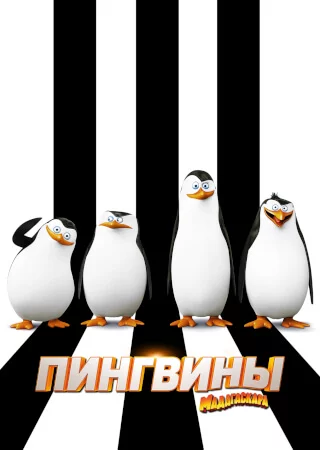 Пингвины Мадагаскара